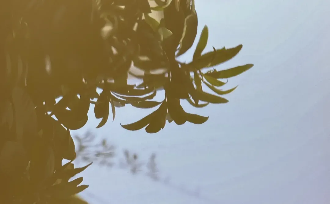 广州新展｜广东美术馆免费新展攻略！！