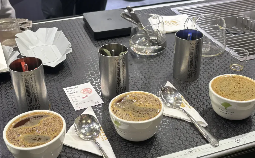 深圳Hotelex站｜开心冲煮又幸运的一天