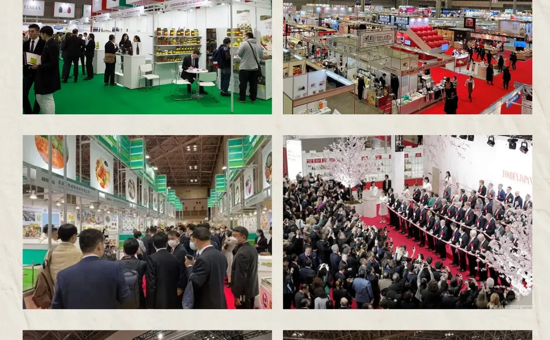 2026展会资讯丨 JFEX - 國际食品·饮料商谈
