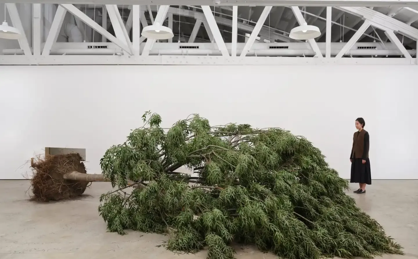 洛杉矶 | 12月上旬必看展览推荐!