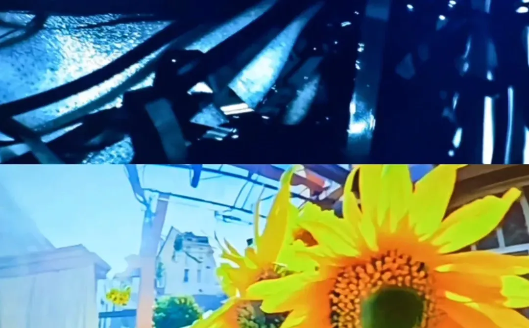 上海免费大展装置篇❗在数字光影中看见生命