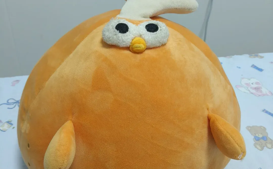 这里真的是我的一站式采购站