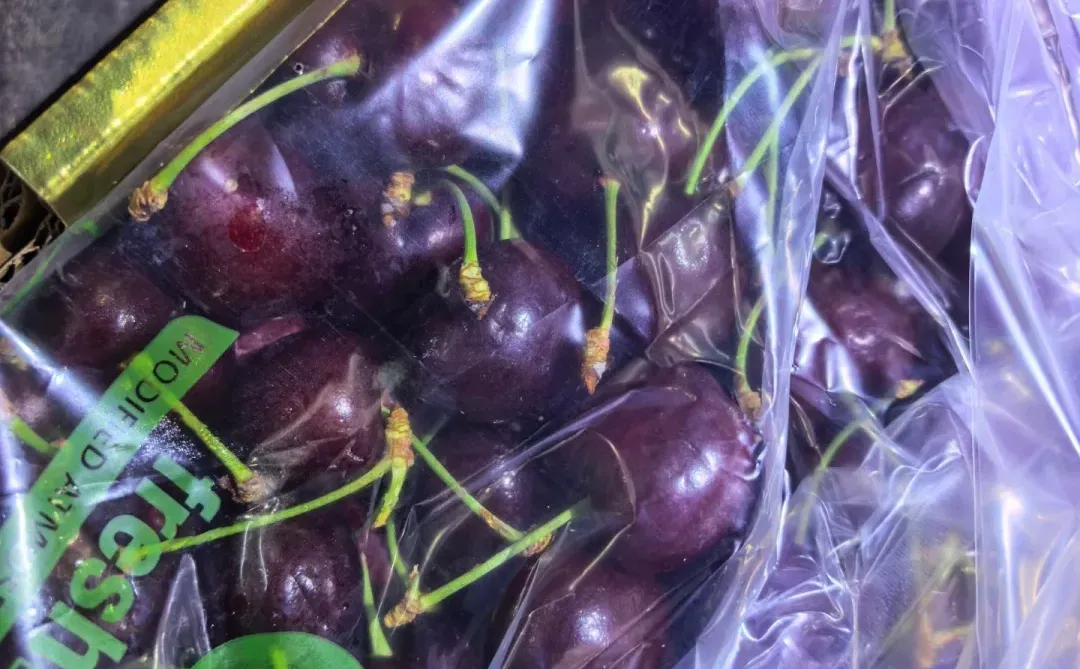 海吉星采购车厘子??