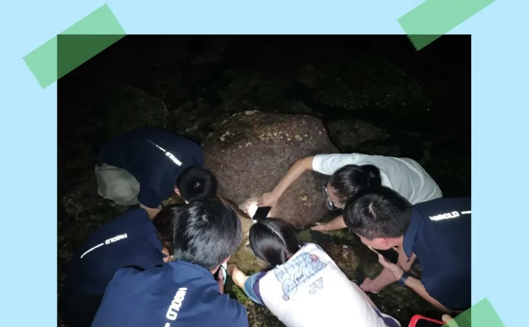 悍高团建篇-功能五金事业部