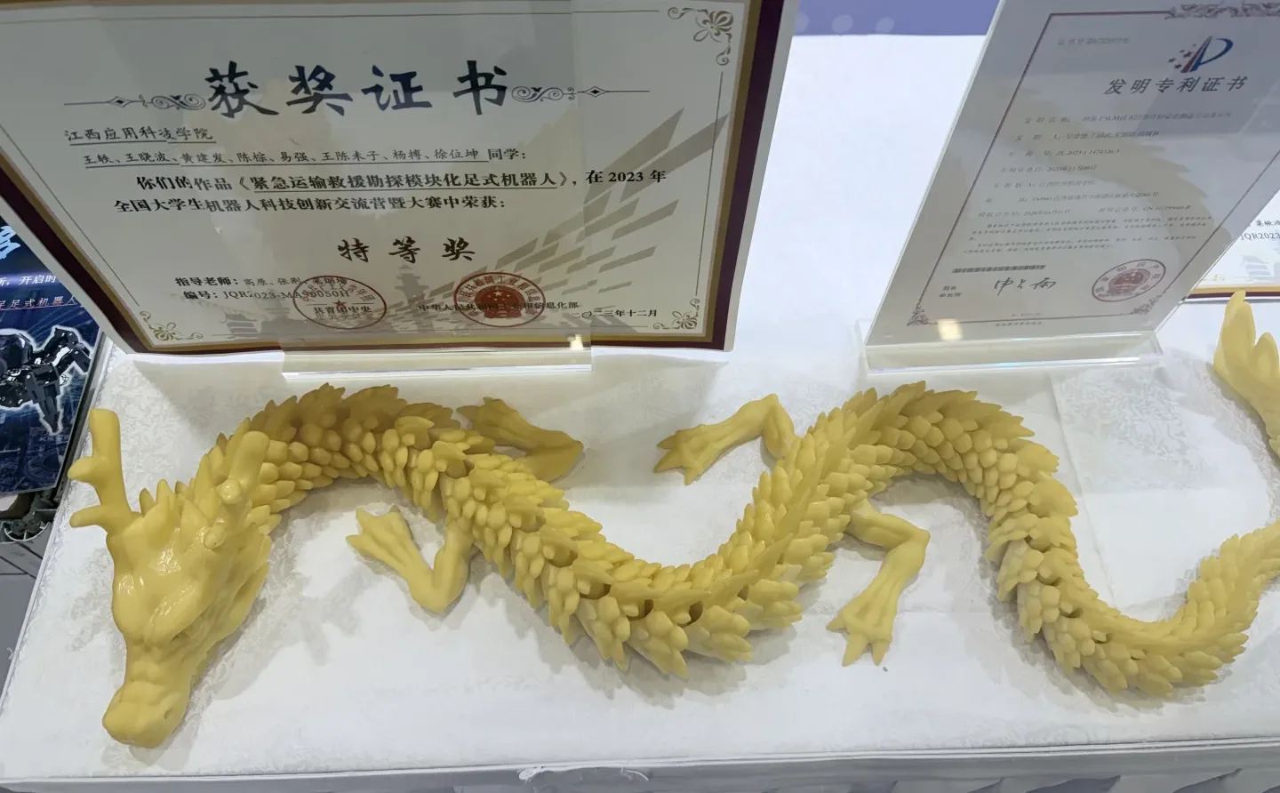 研一｜在科交会当志愿者的这些天