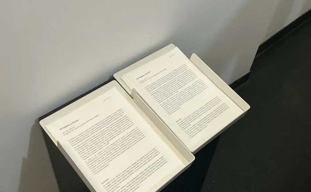 上海新展｜现在?