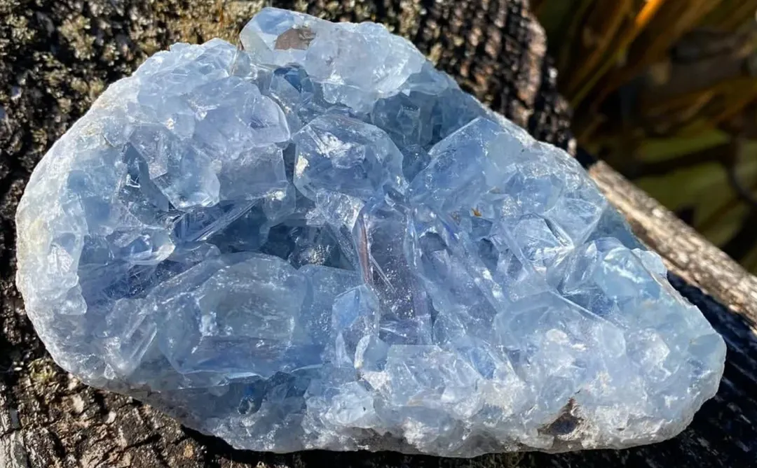 晶耀全球 诚筑匠心