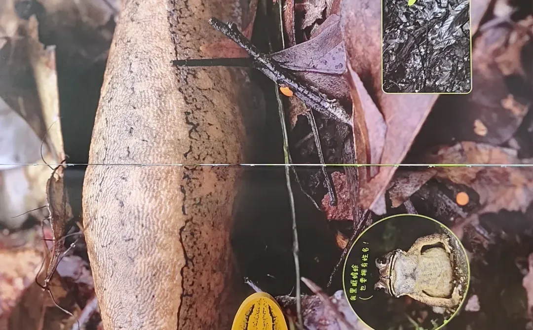 博物大发现 找找看