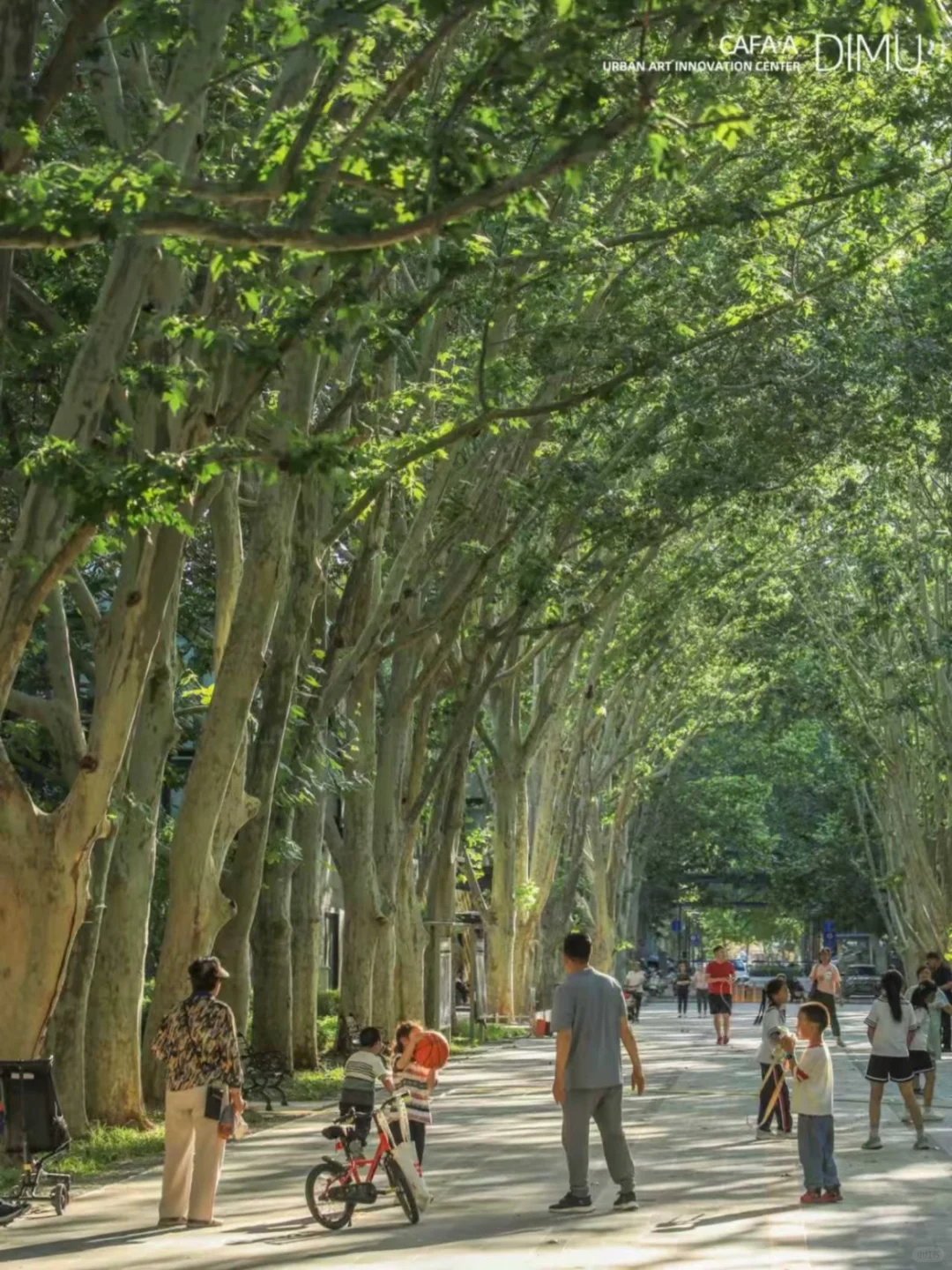 埊木作品｜大屯数字经济产业园片区更新