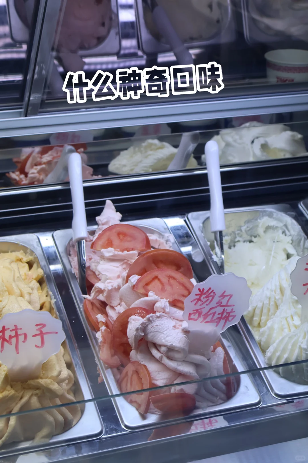 珍老板大逛展之深圳食品展