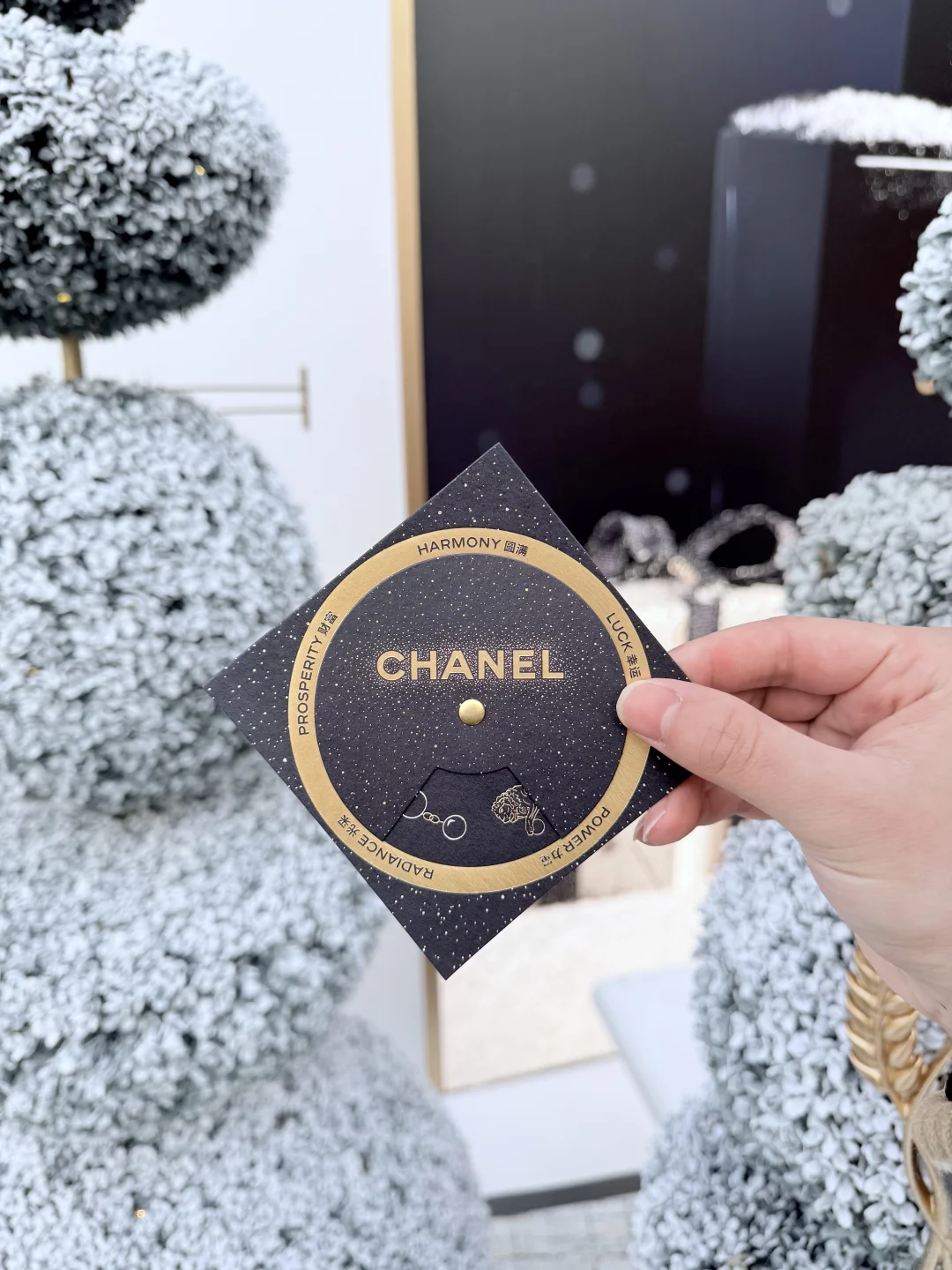 上海 12 月香奈儿最新的免费展来了，快冲！！！