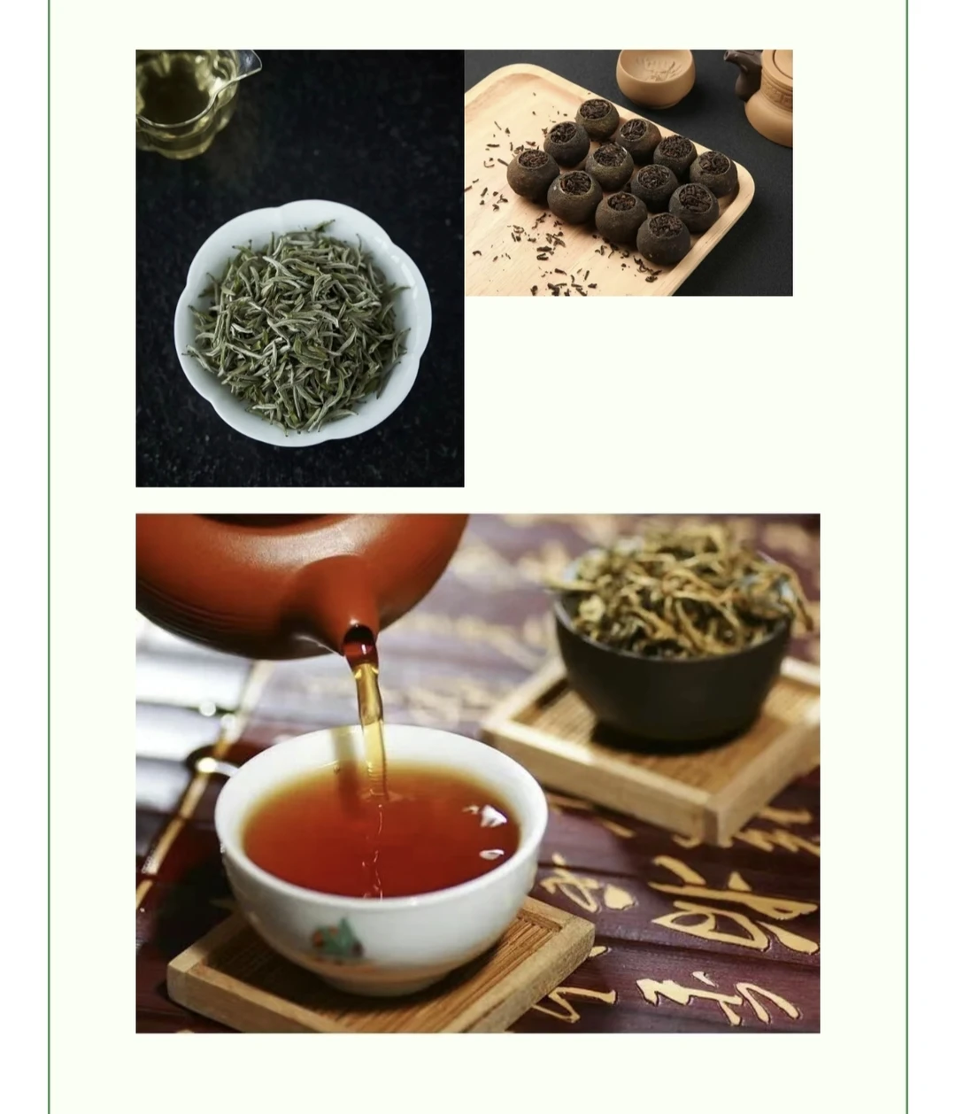 周末可以逛逛广州茶博会