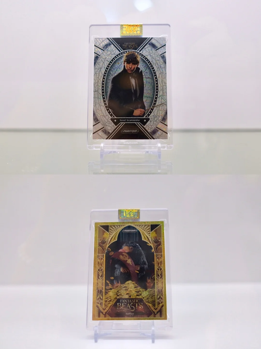 卡卡沃亮相ASCC2025✨