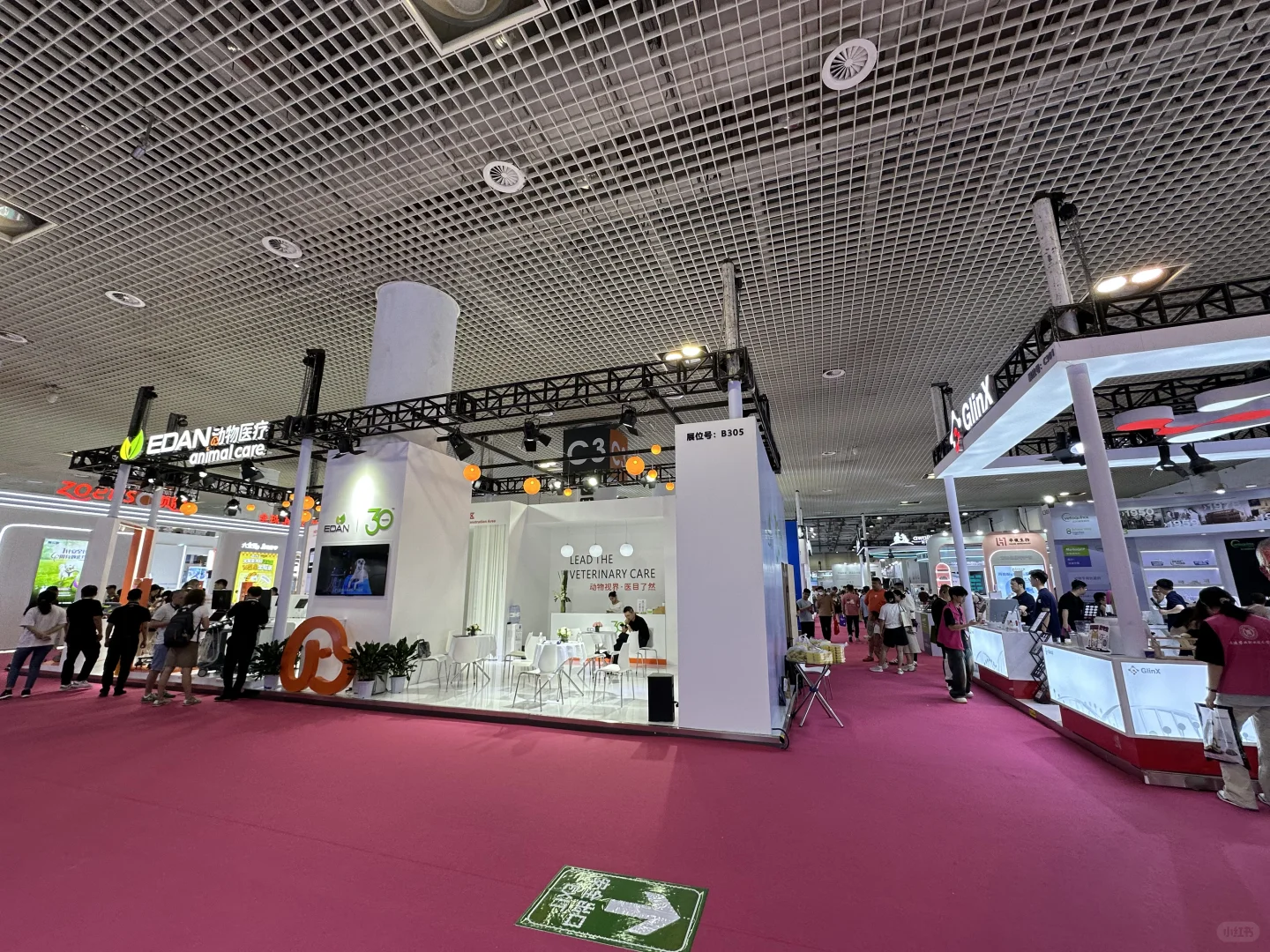 展会译者的工作是什么样子？