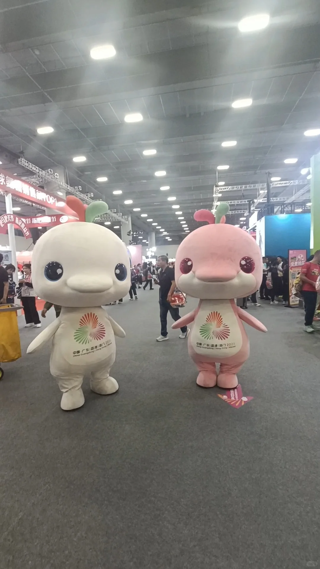 记录一下逛马拉松展览的收获