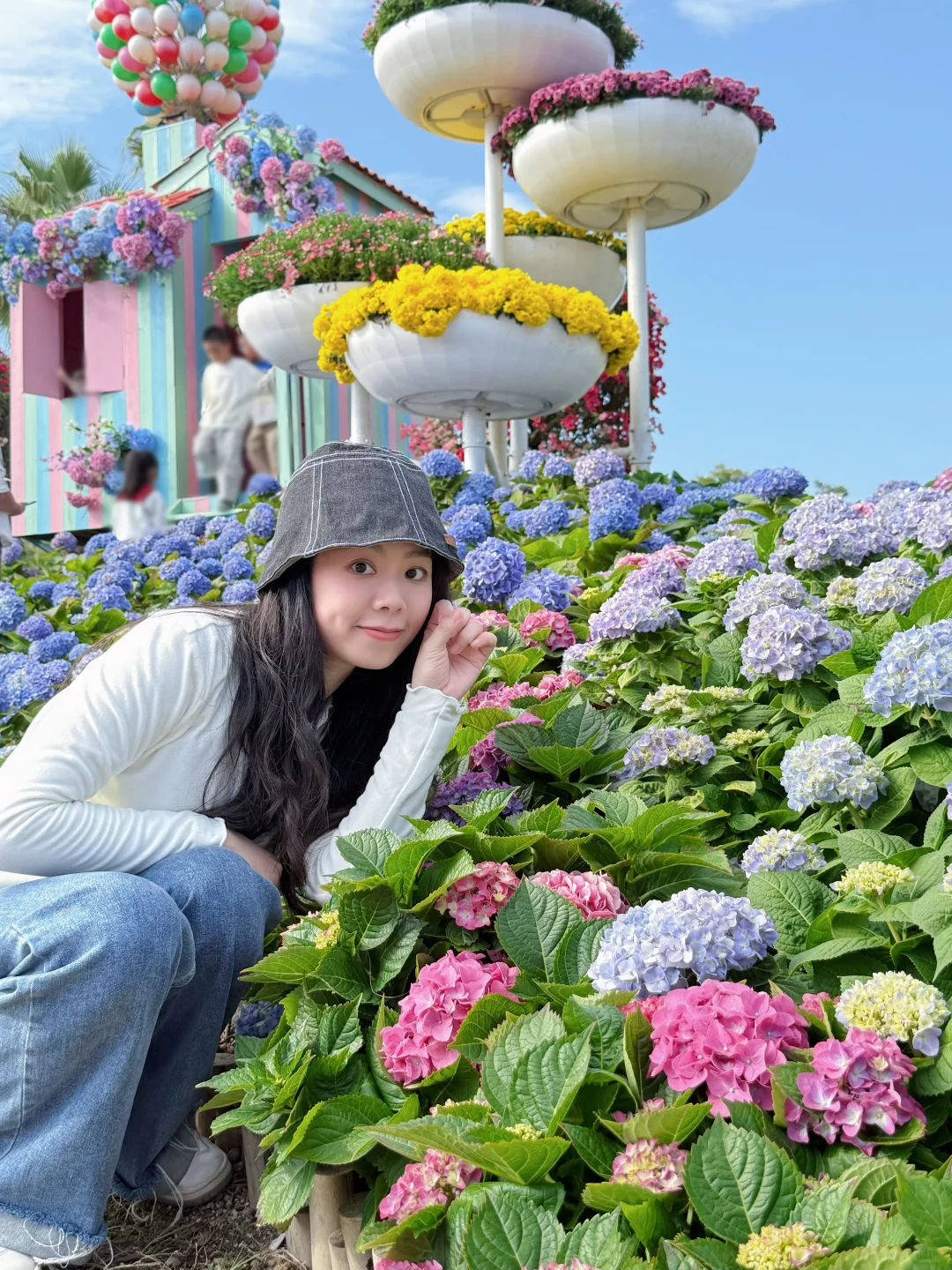 绣球花真好看???漳州东南花都