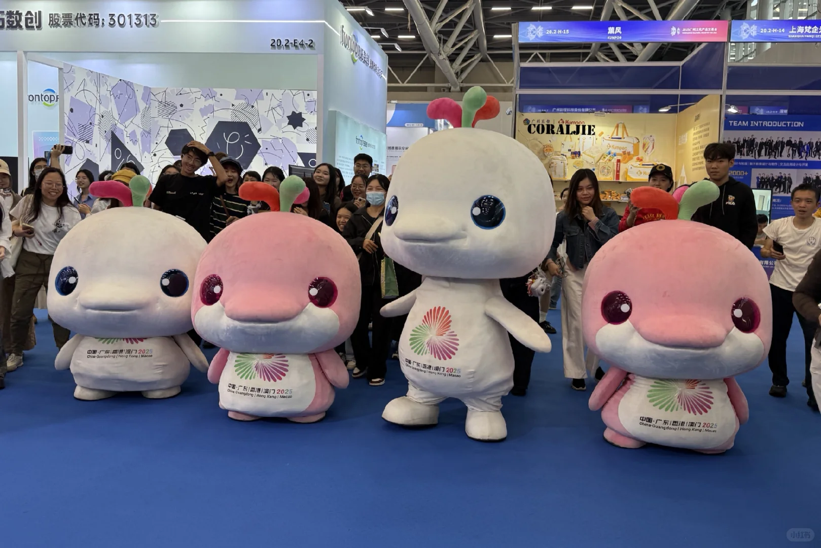 总有小鸡开小差