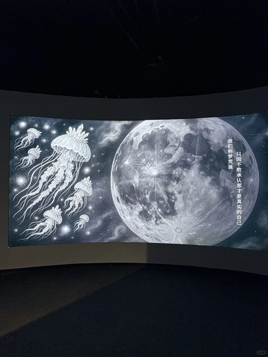 武汉新展！！简直是造梦天堂！！