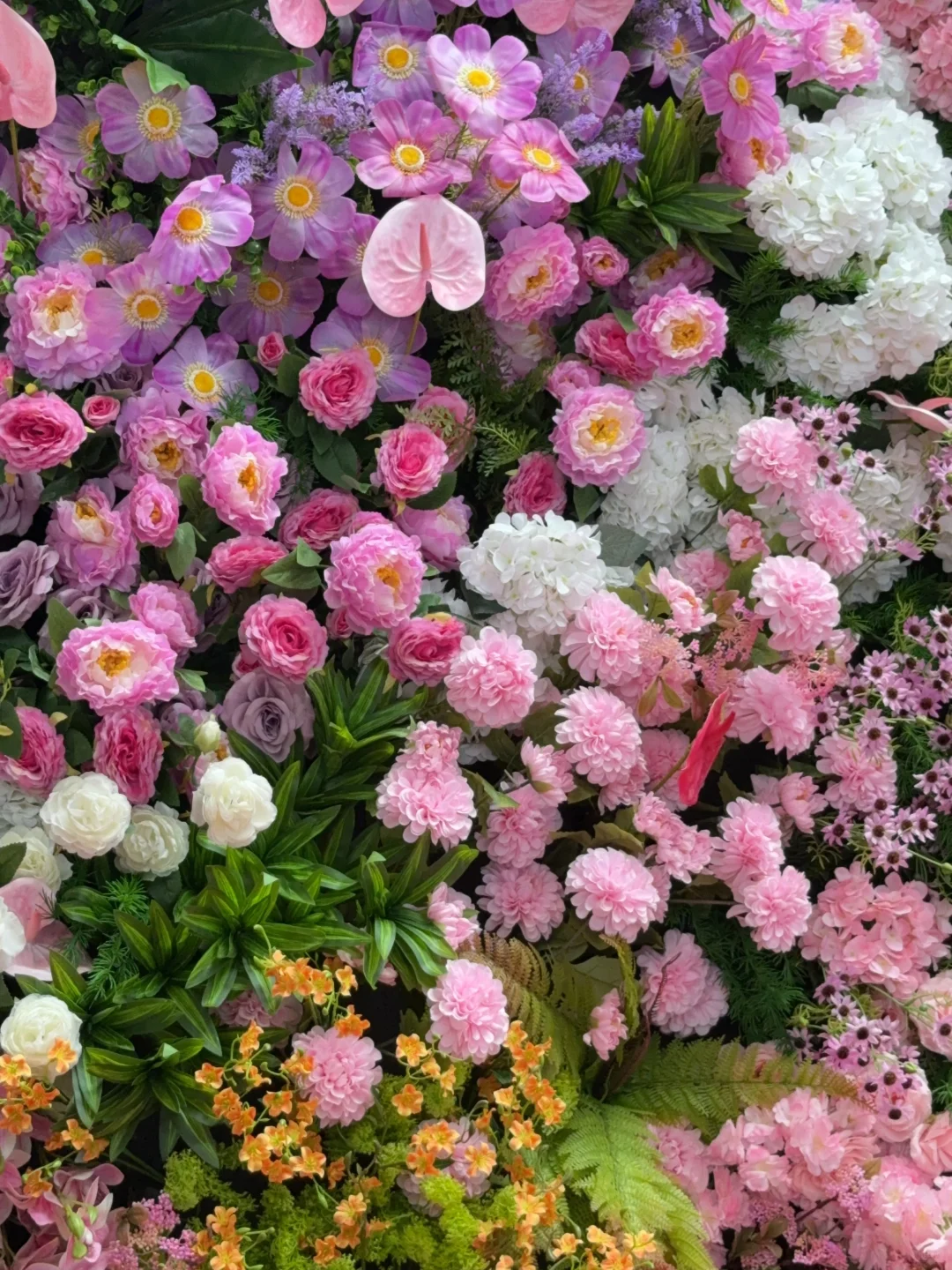 绣球花真好看???漳州东南花都