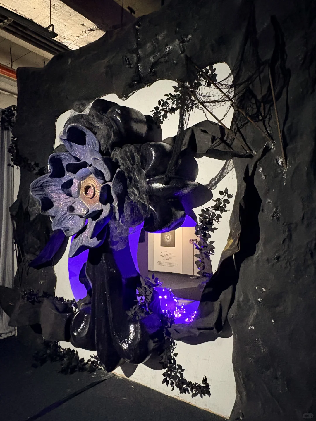 武汉新展！！简直是造梦天堂！！