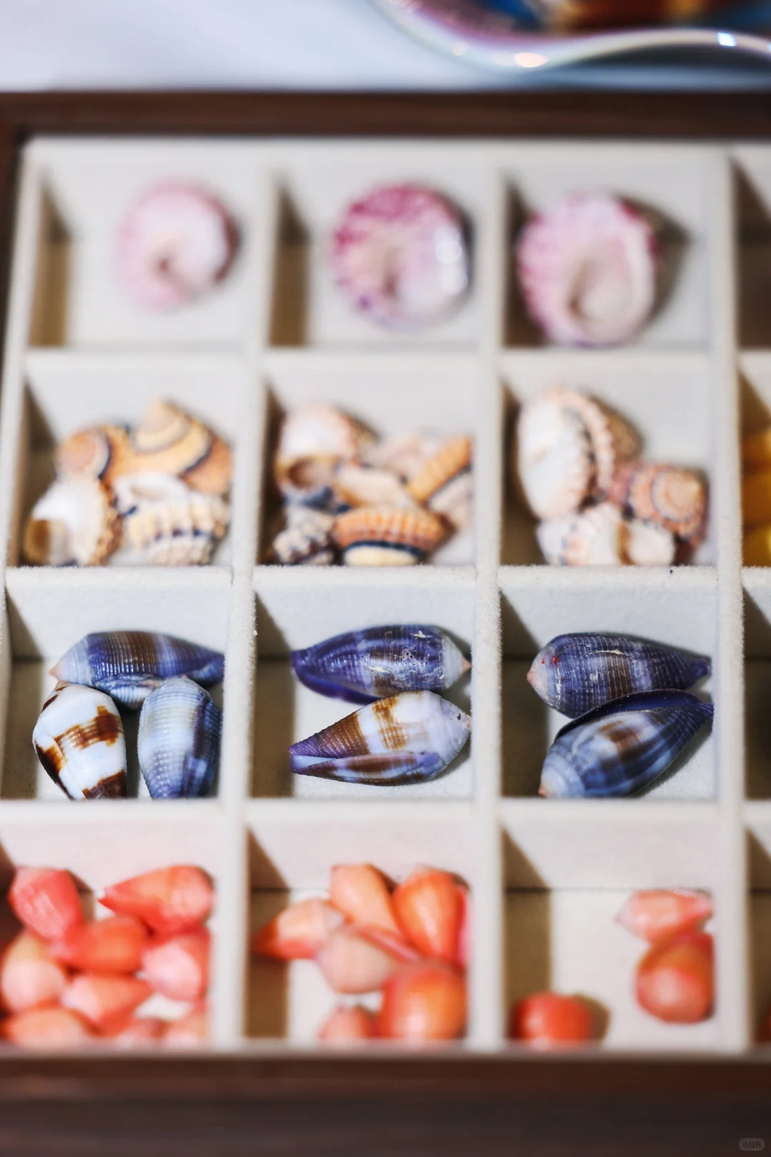 ?上海火热开展！?12.12-12.14贝壳展