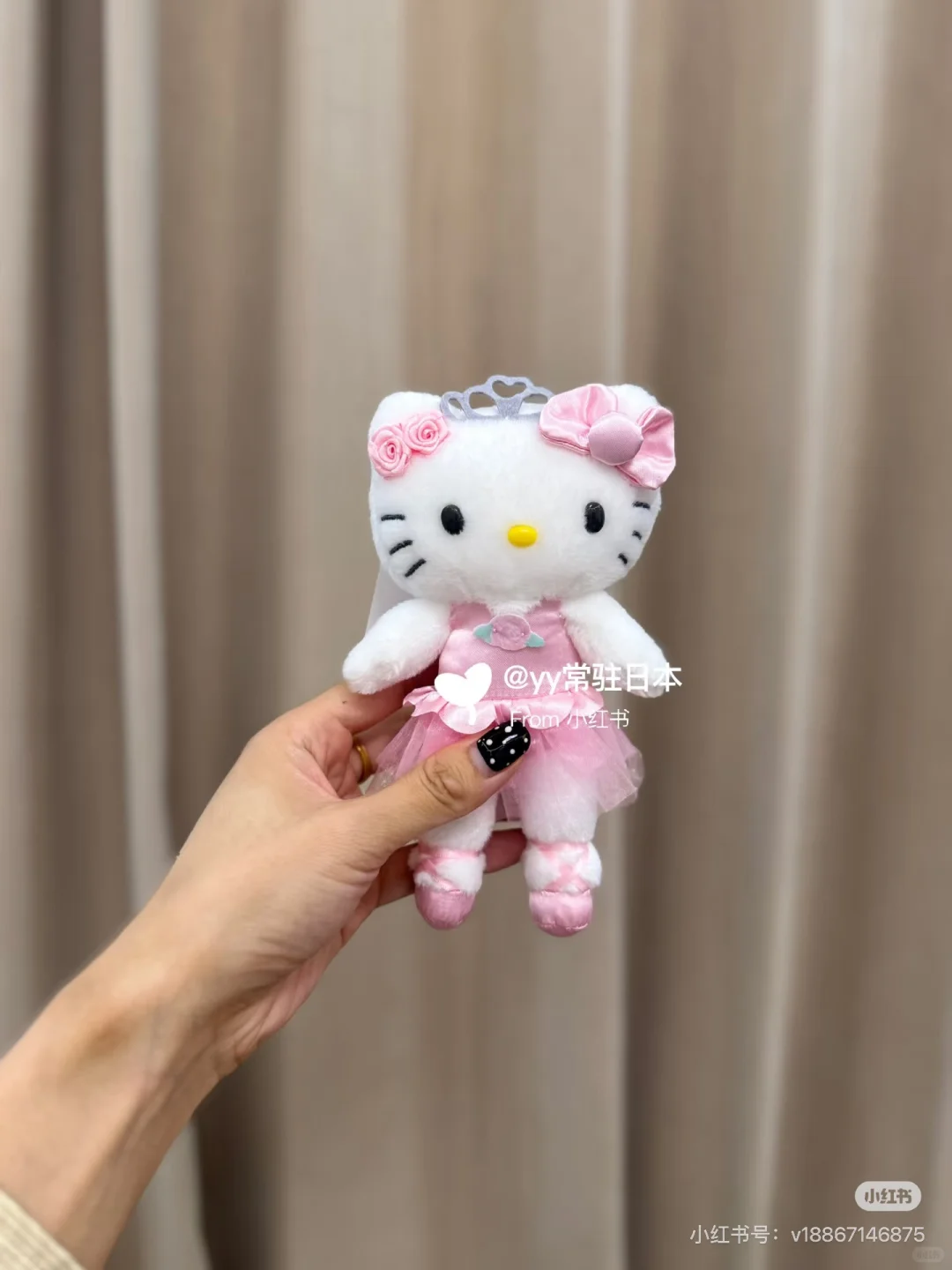 kitty展‼️下一站名古屋