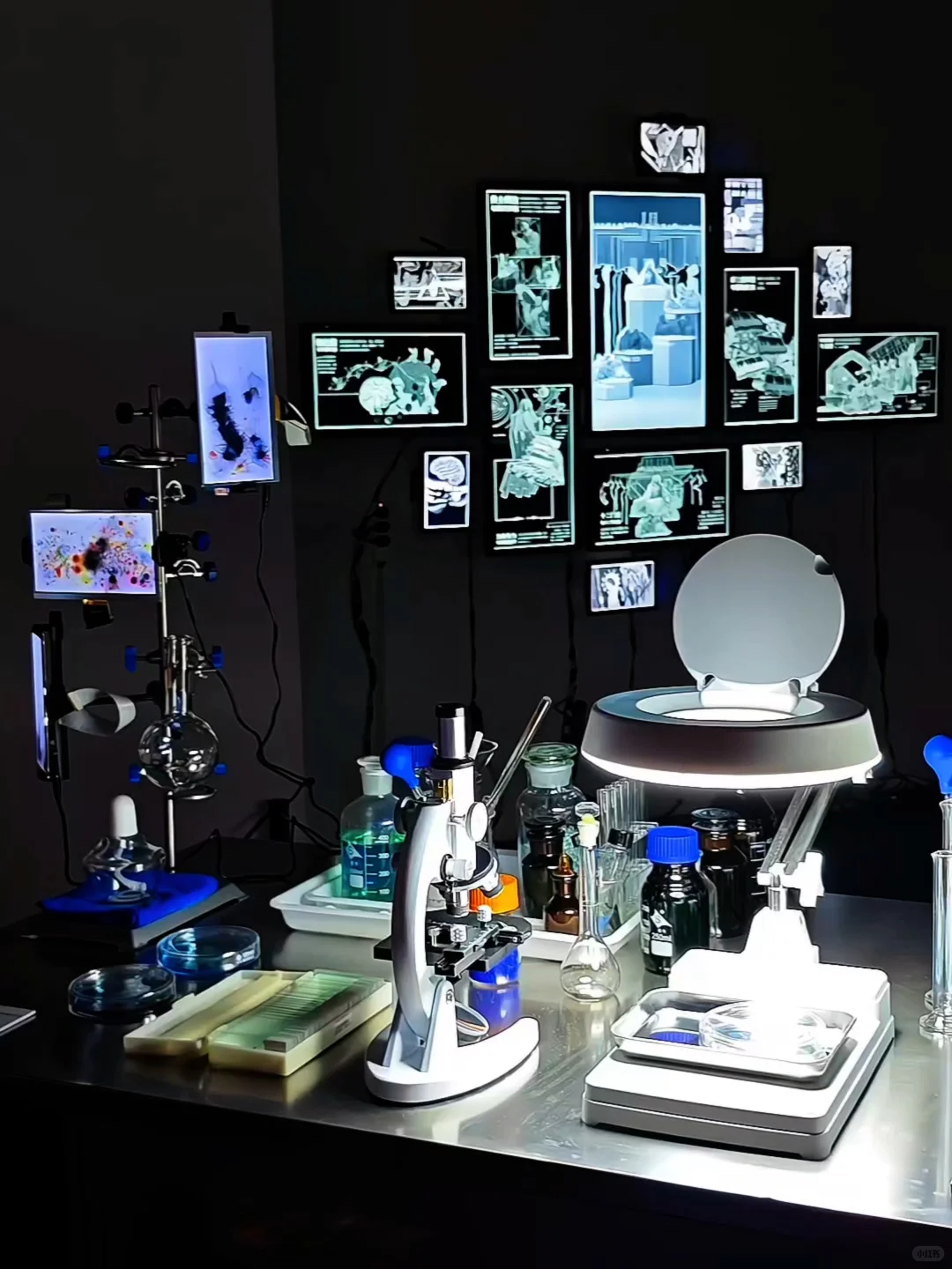 上海免费大展装置篇❗在数字光影中看见生命