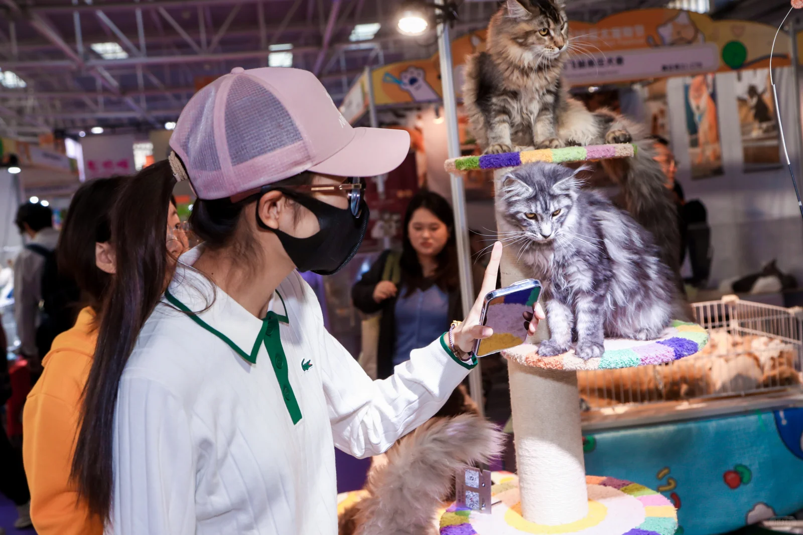 青岛宠物展门票