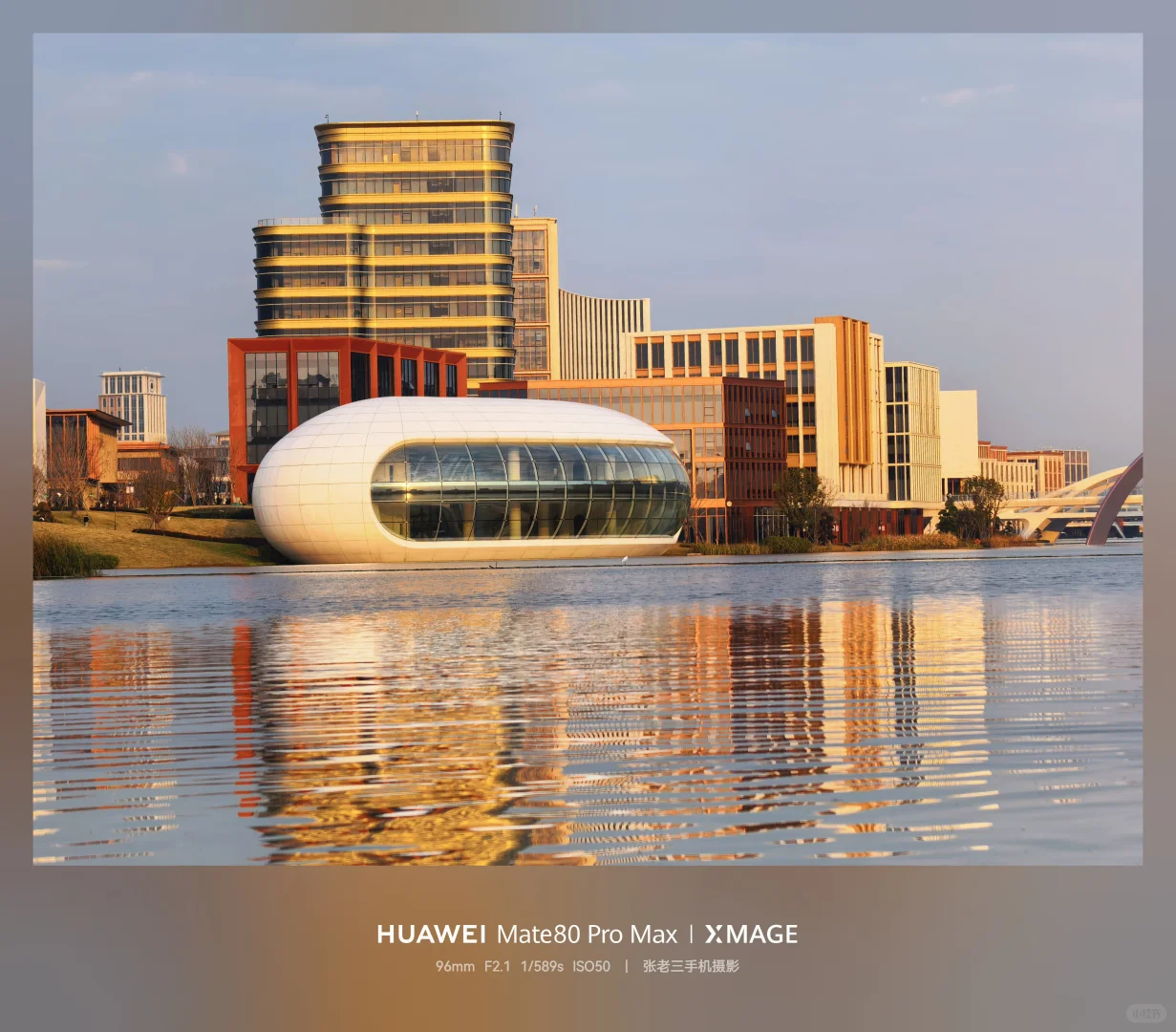 花粉年会 练秋湖