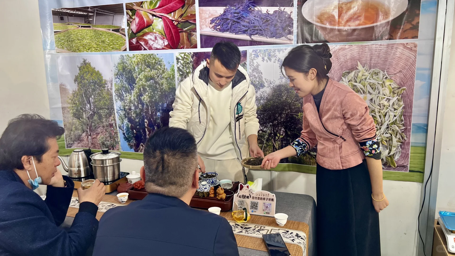 石家庄茶博会有感