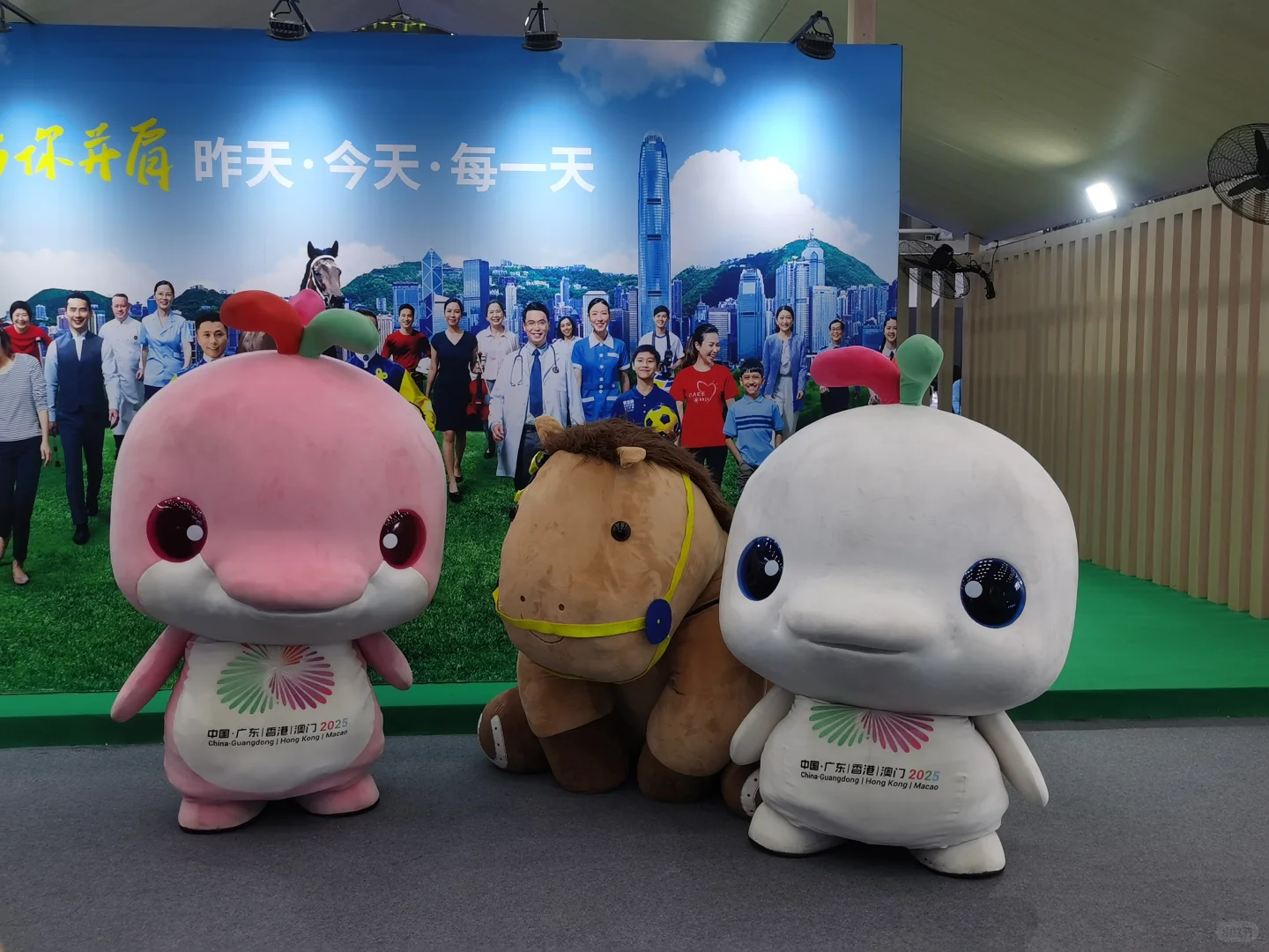 大湾鸡在文交会的第一天photos