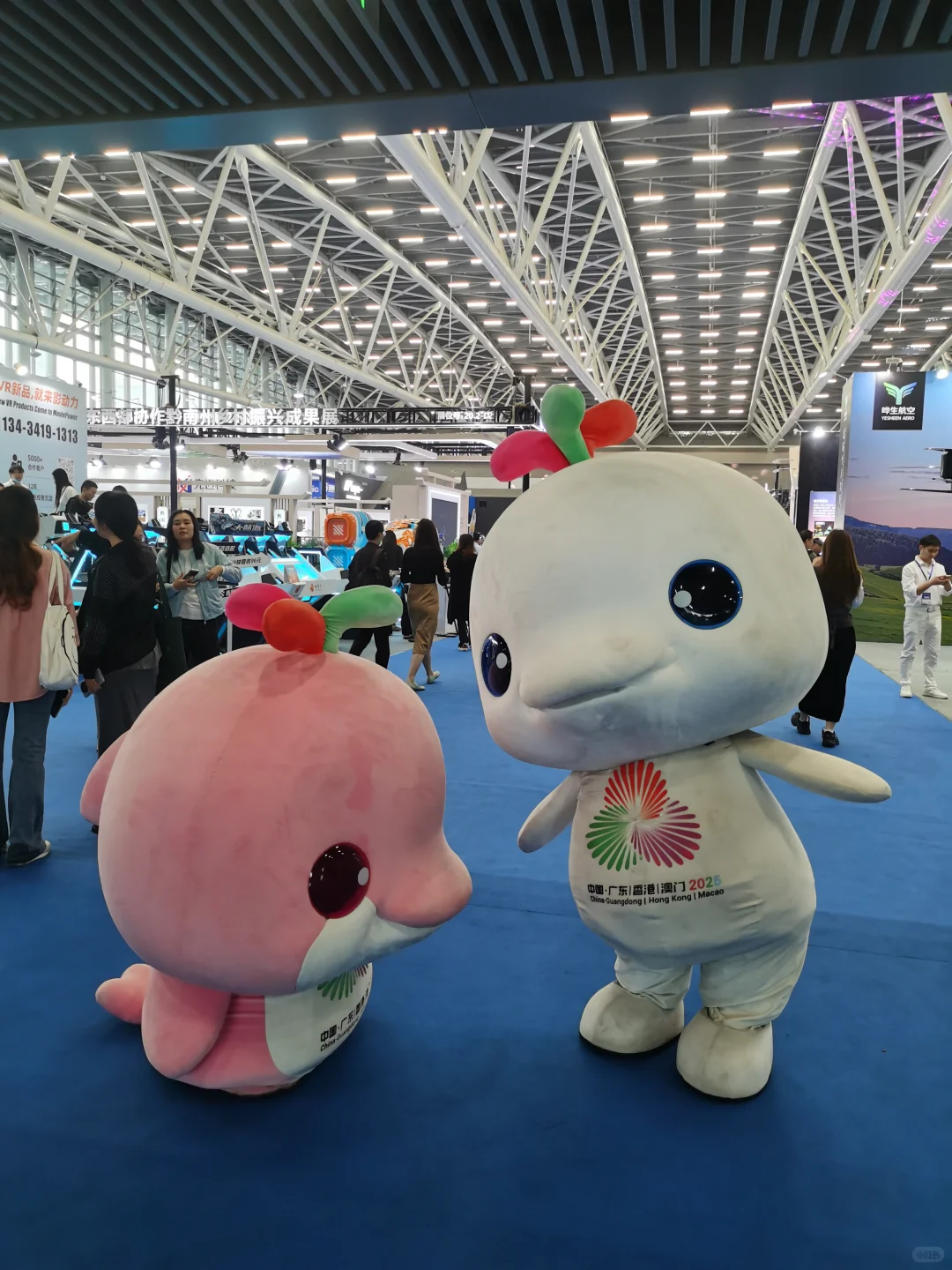 大湾鸡在文交会的第一天photos