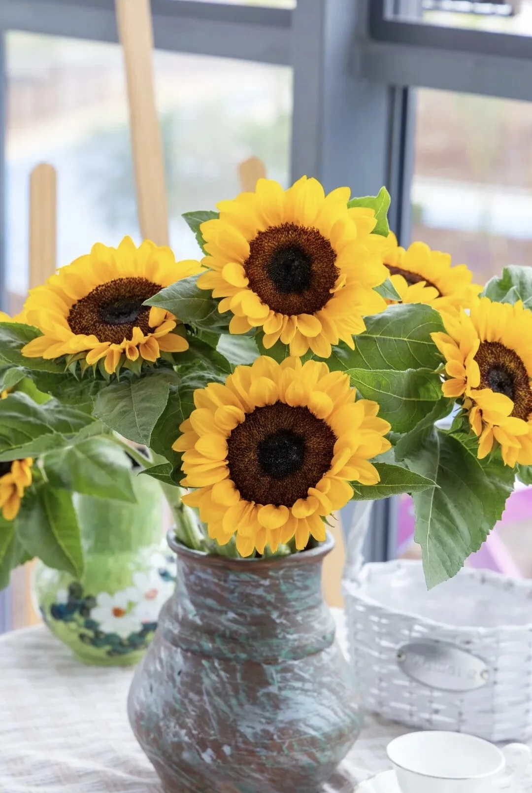 2026缤纷草花种苗新品推介会，诚邀您莅临！