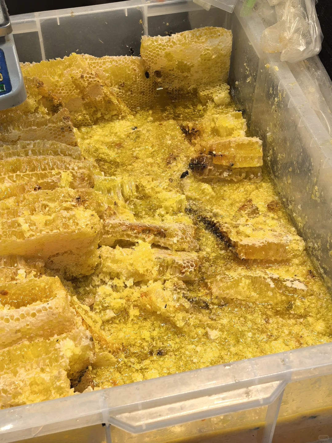 在淮安进出口商品博览会吃饱了！