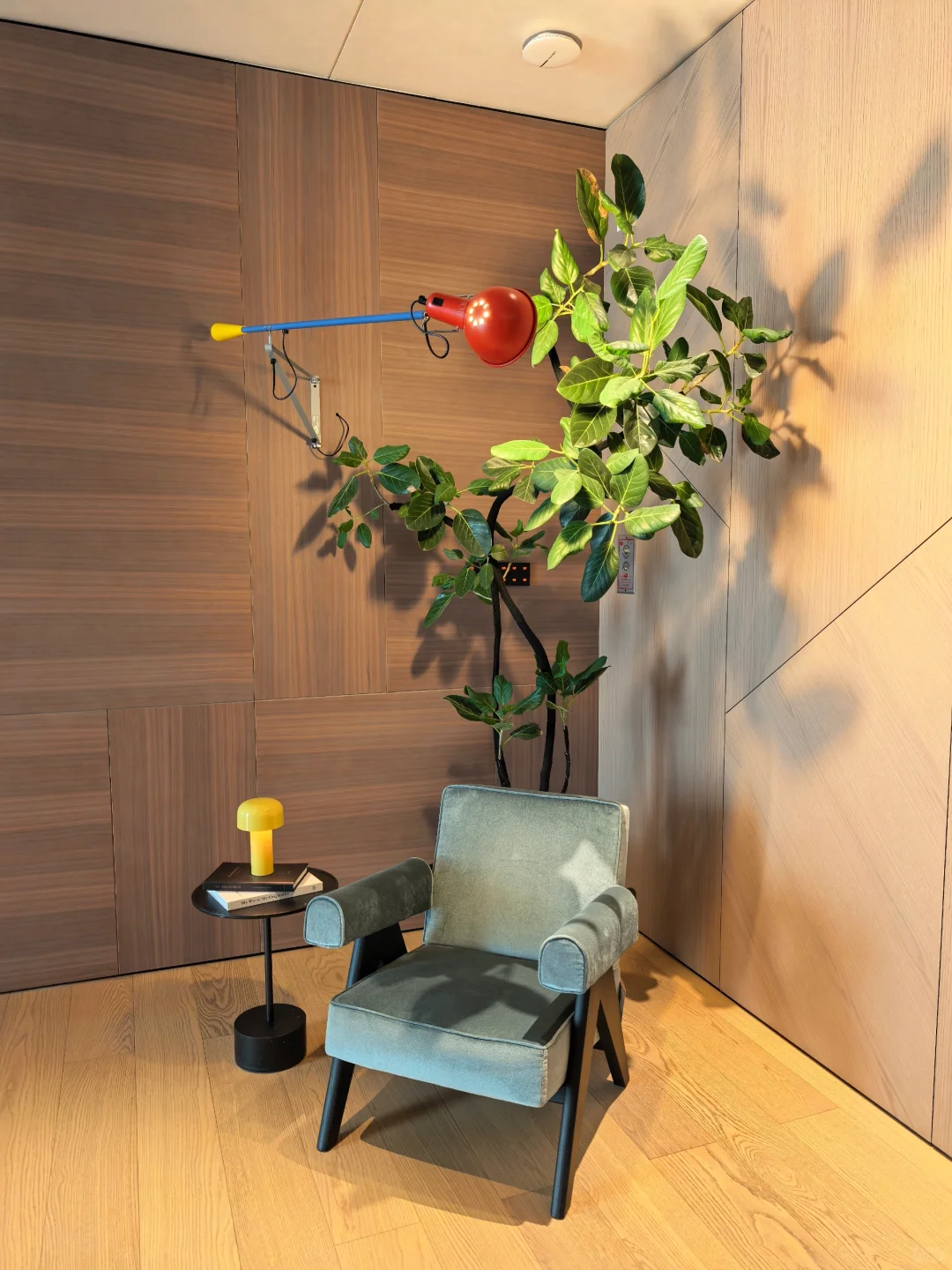 在诺雅那的慢时光，解锁家居美学新体验