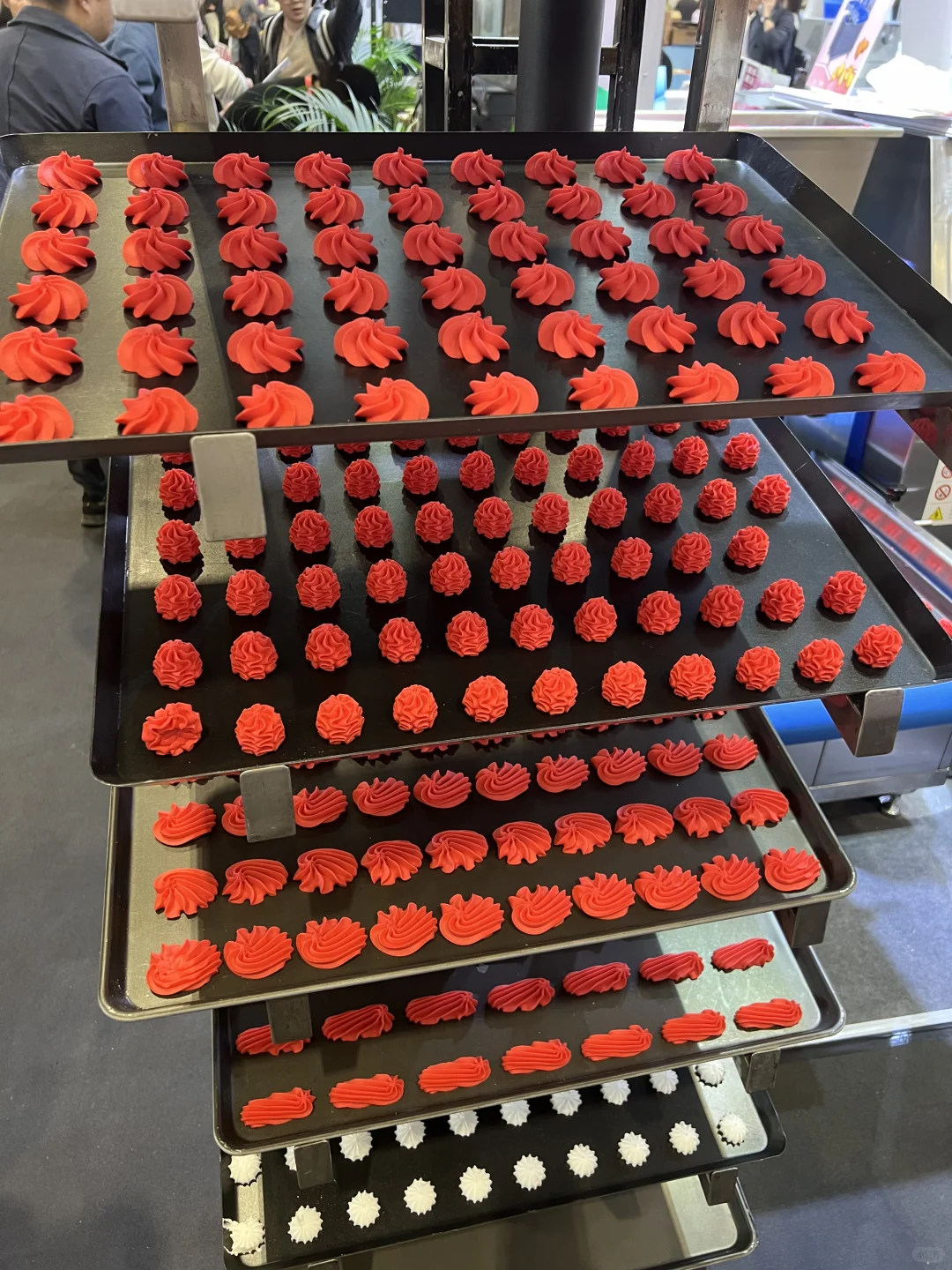 别人是去看展的 我是去蹭吃蹭喝的?