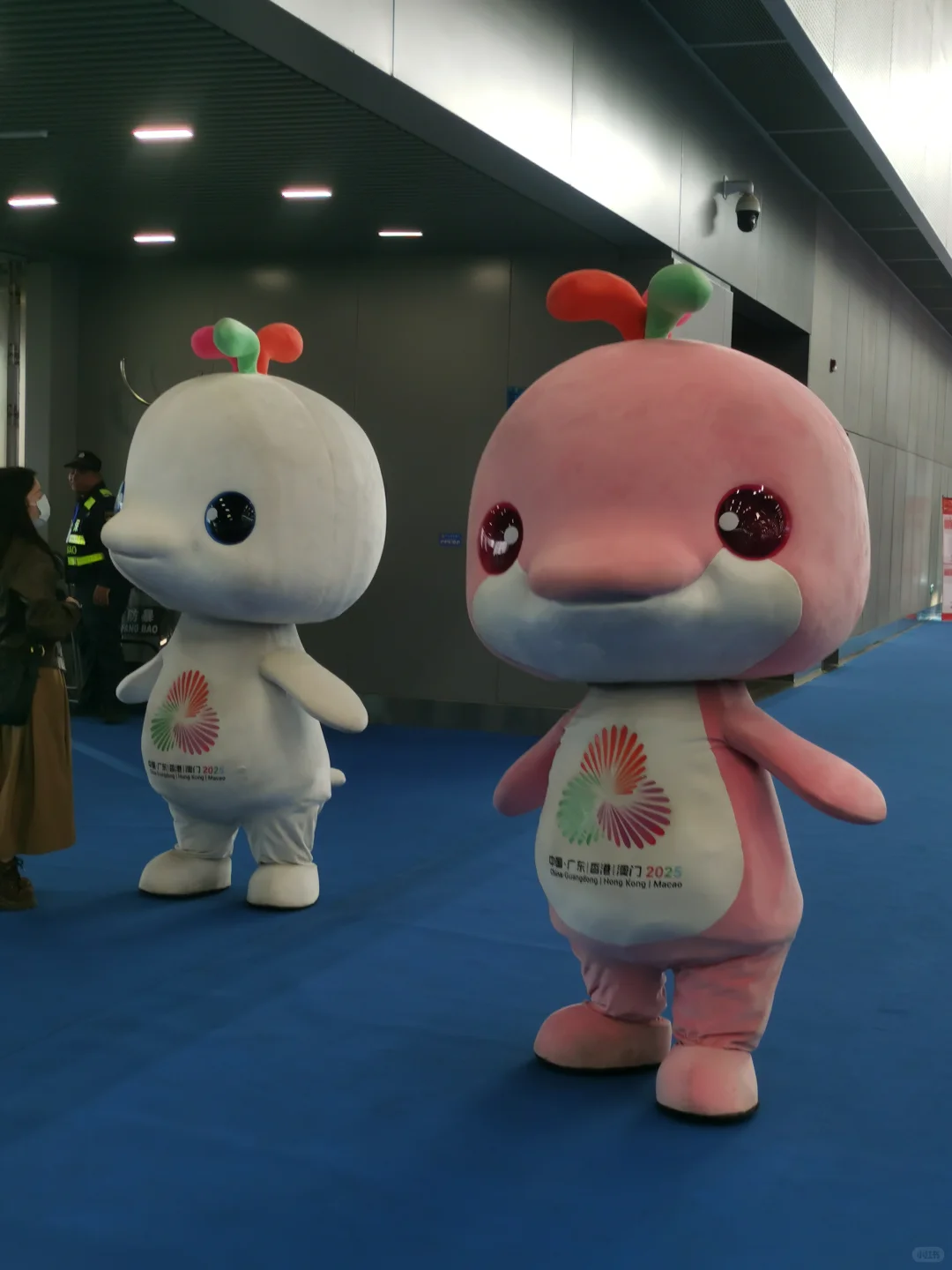 大湾鸡在文交会的第一天photos