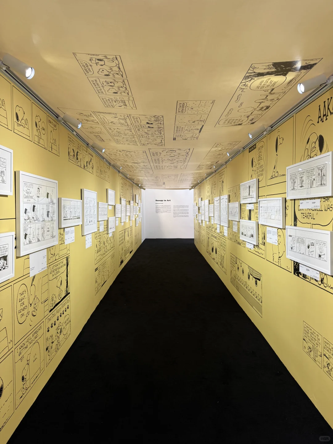 史努比内地首展杀到深圳！天台漫游花生宇宙