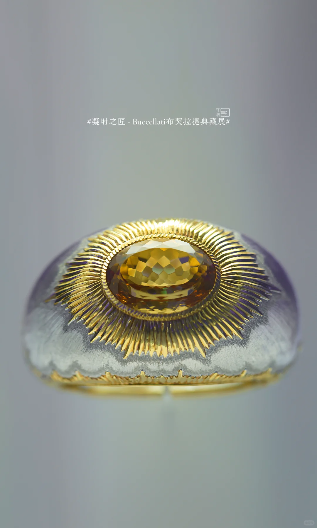 难得避雷一个展：布契拉提…