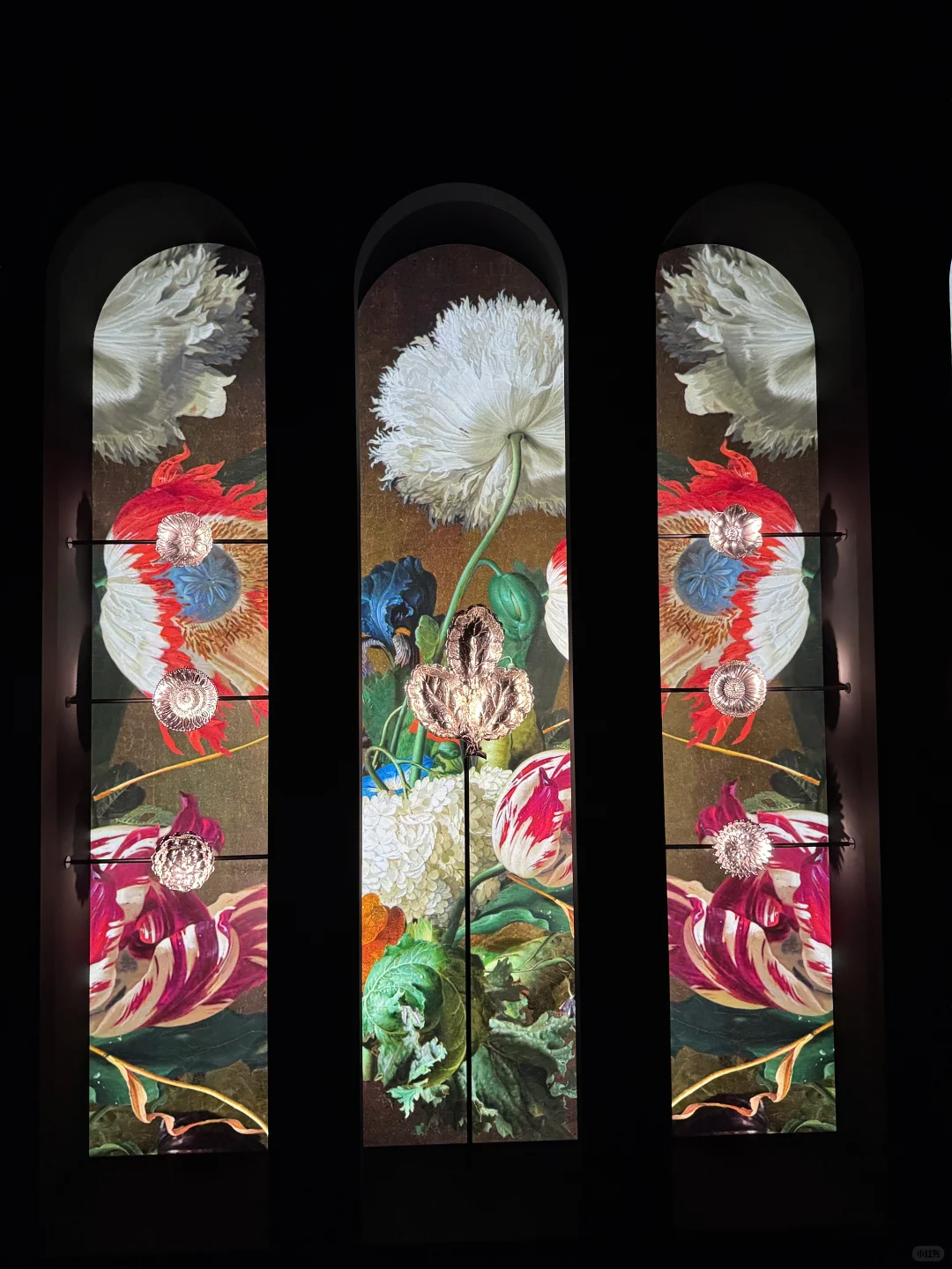 实探！布契拉提典藏上海展?抢先看！！