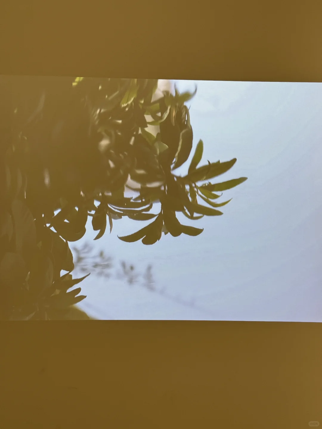 广州新展｜广东美术馆免费新展攻略！！