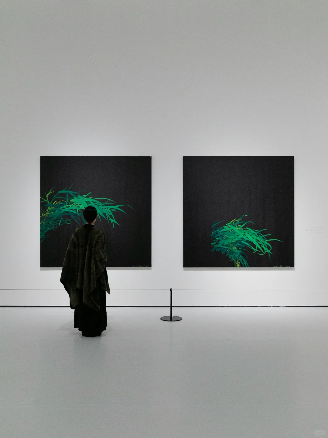 ✨广州新展丨在竹影中感受东方美学的♾️可能~