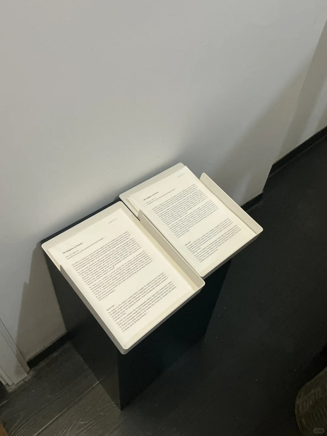 上海新展｜现在?