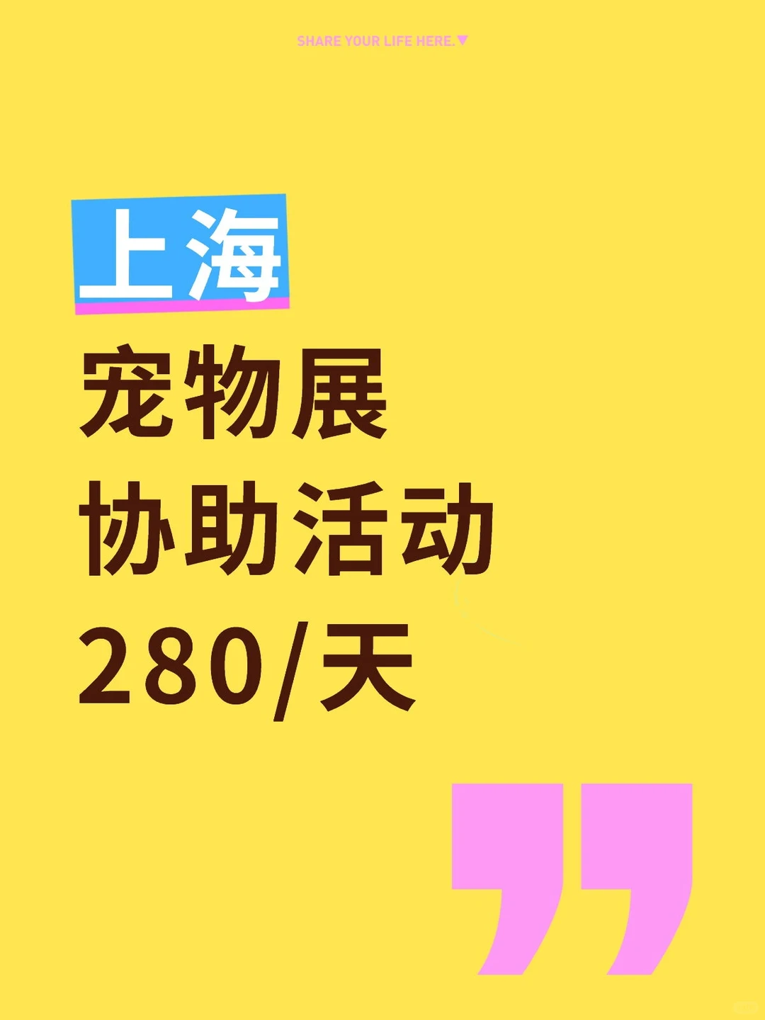 上海宠物展协助