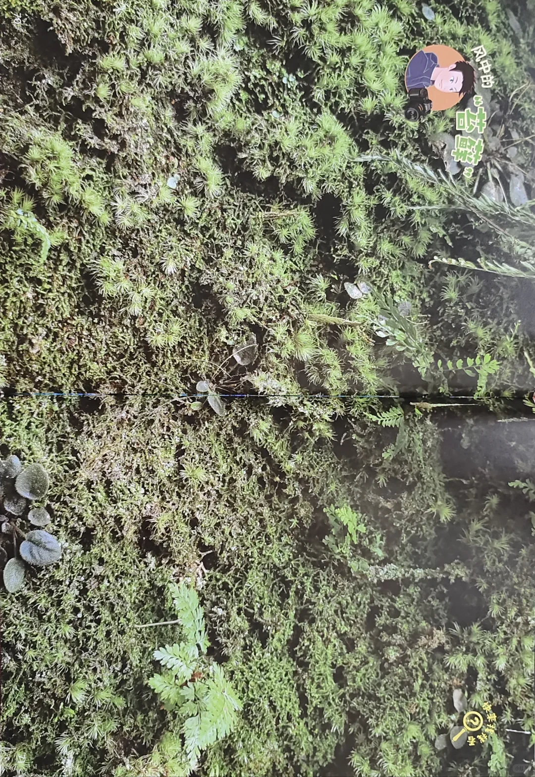 博物大发现 找找看