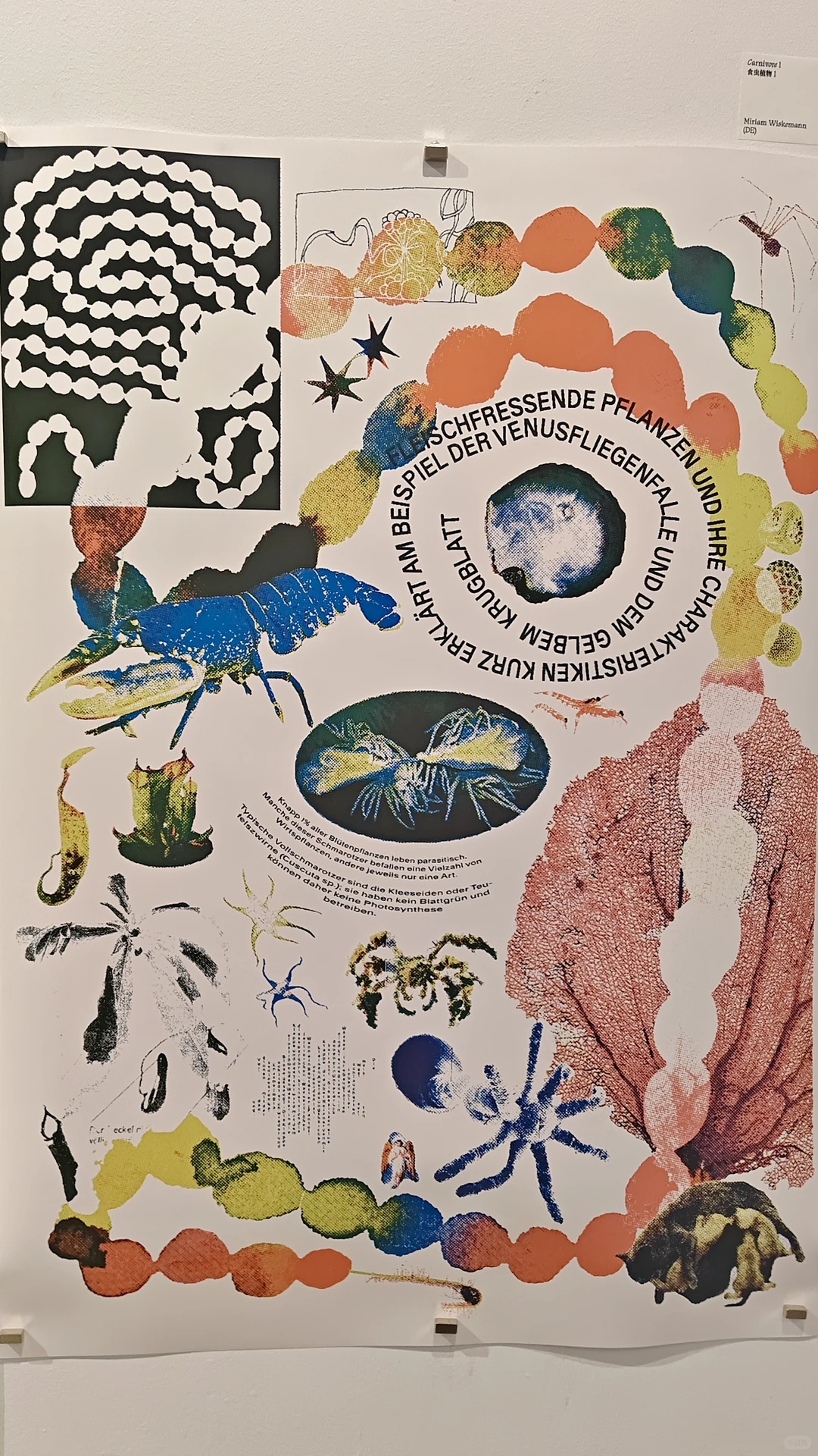 上海平面设计双年展-国际海报序幕展