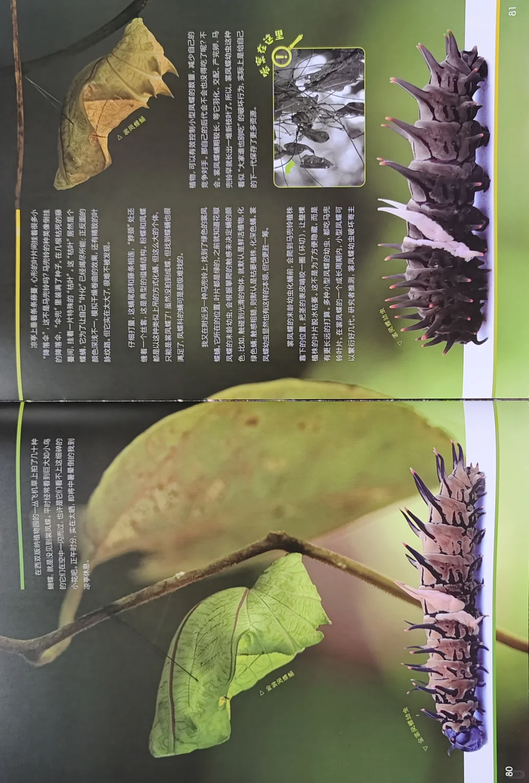 博物大发现 找找看