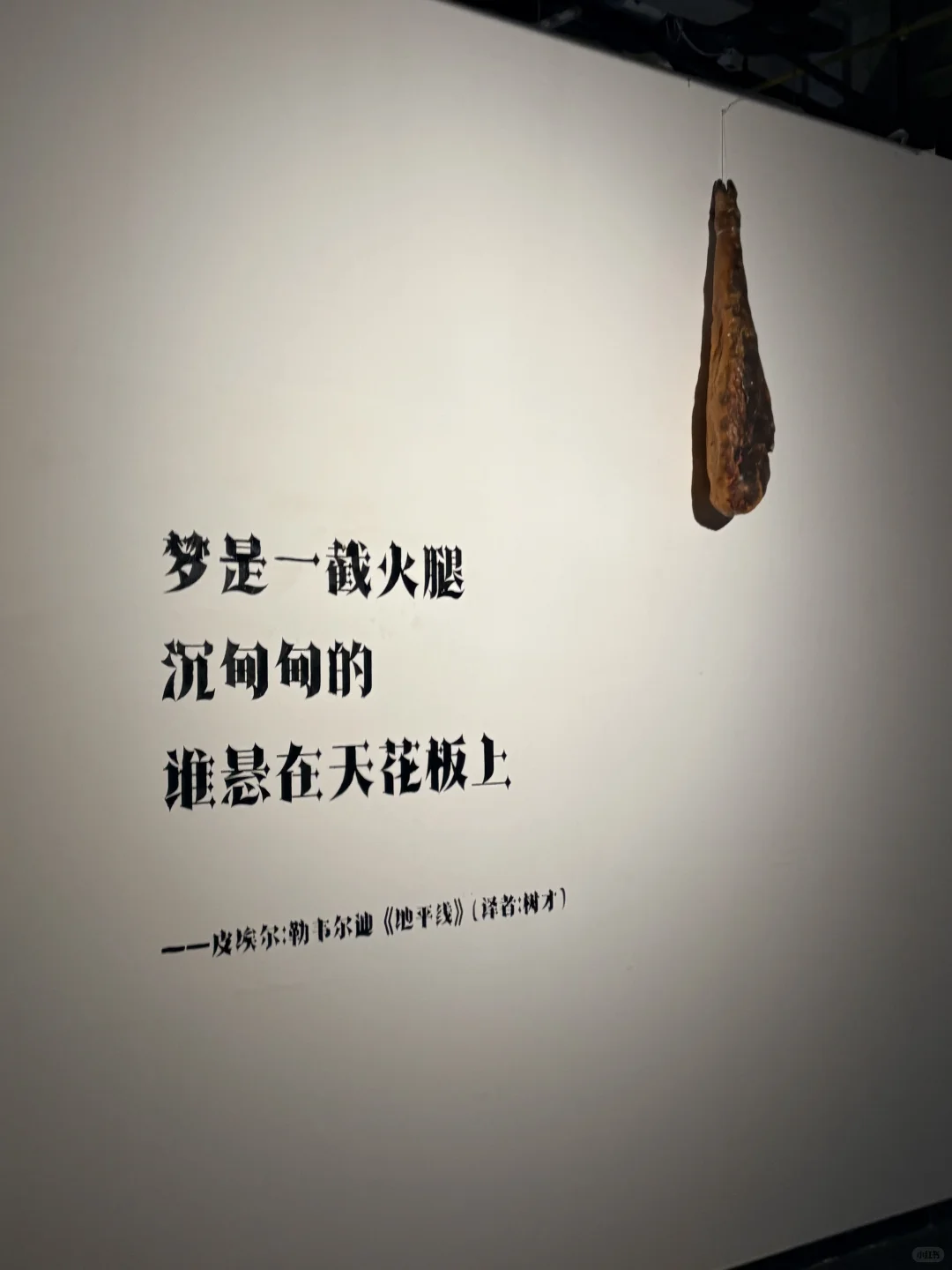 武汉新展！！简直是造梦天堂！！