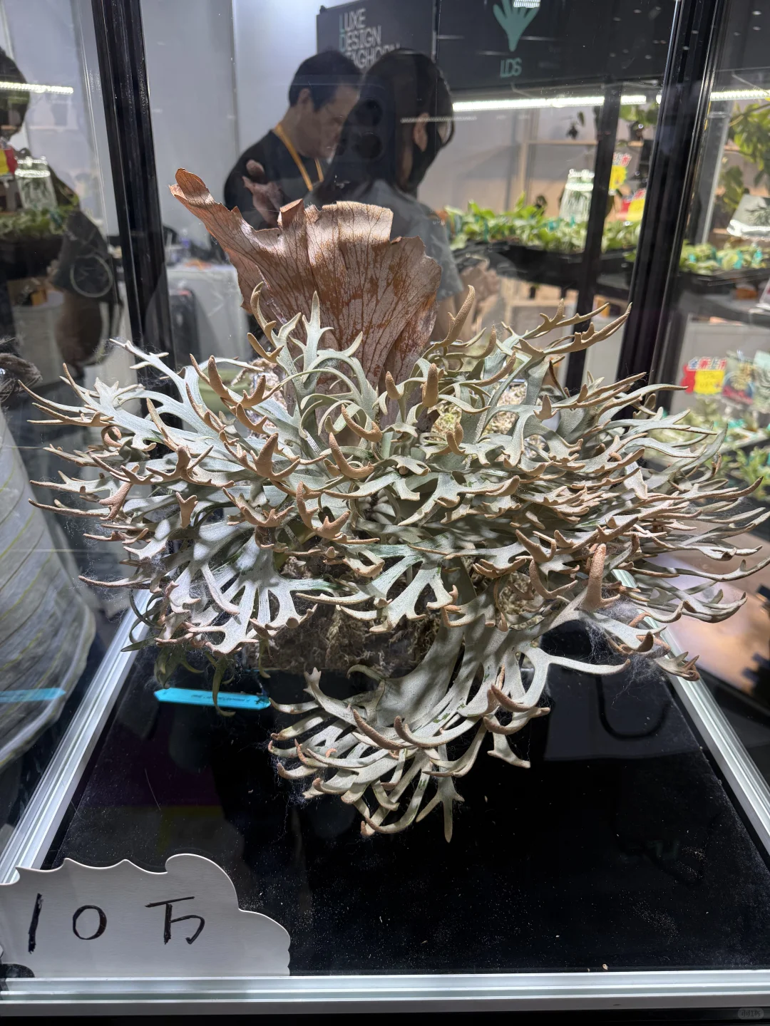 无锡展会上的一点点