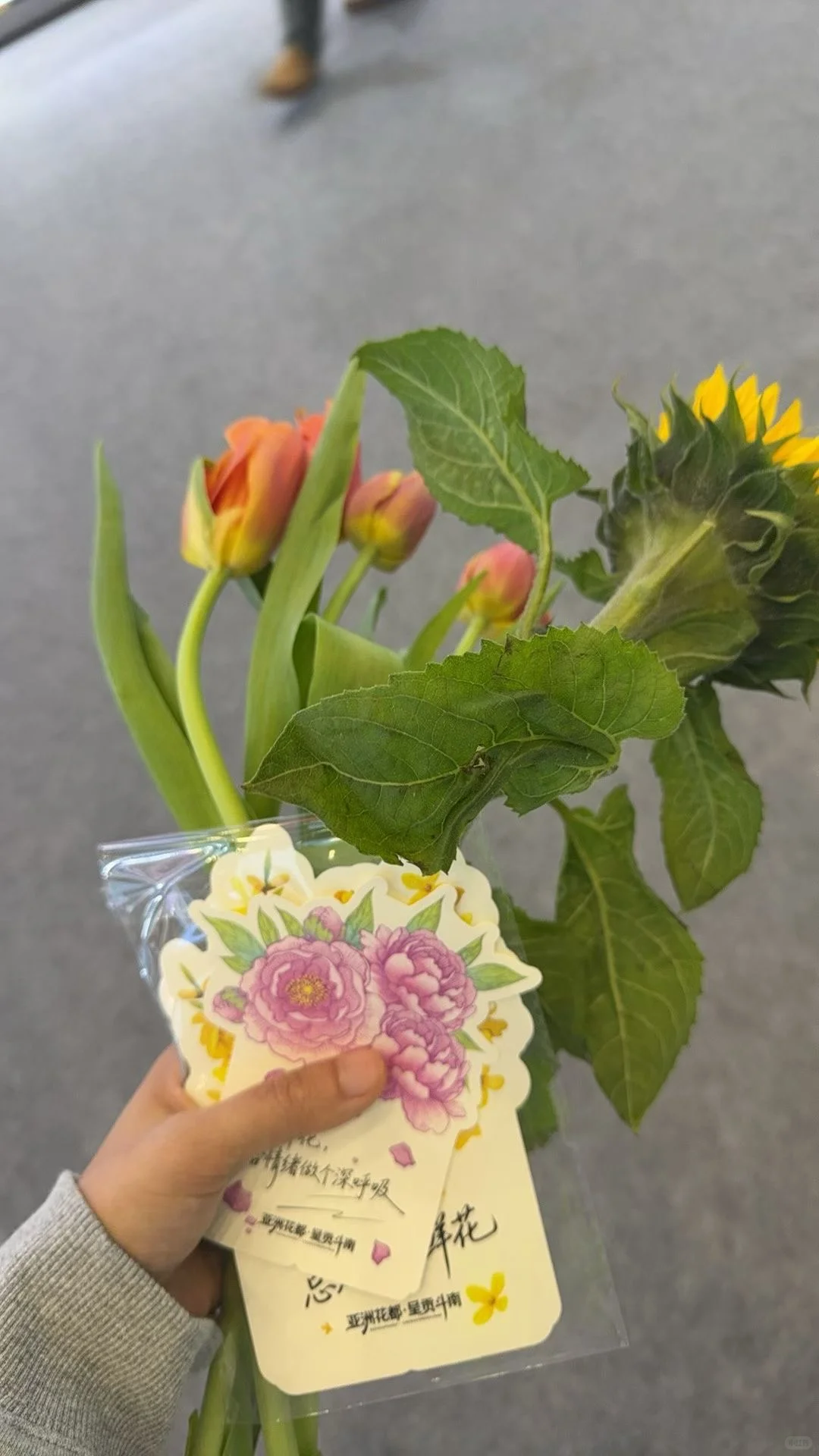 海南国际旅游交易会